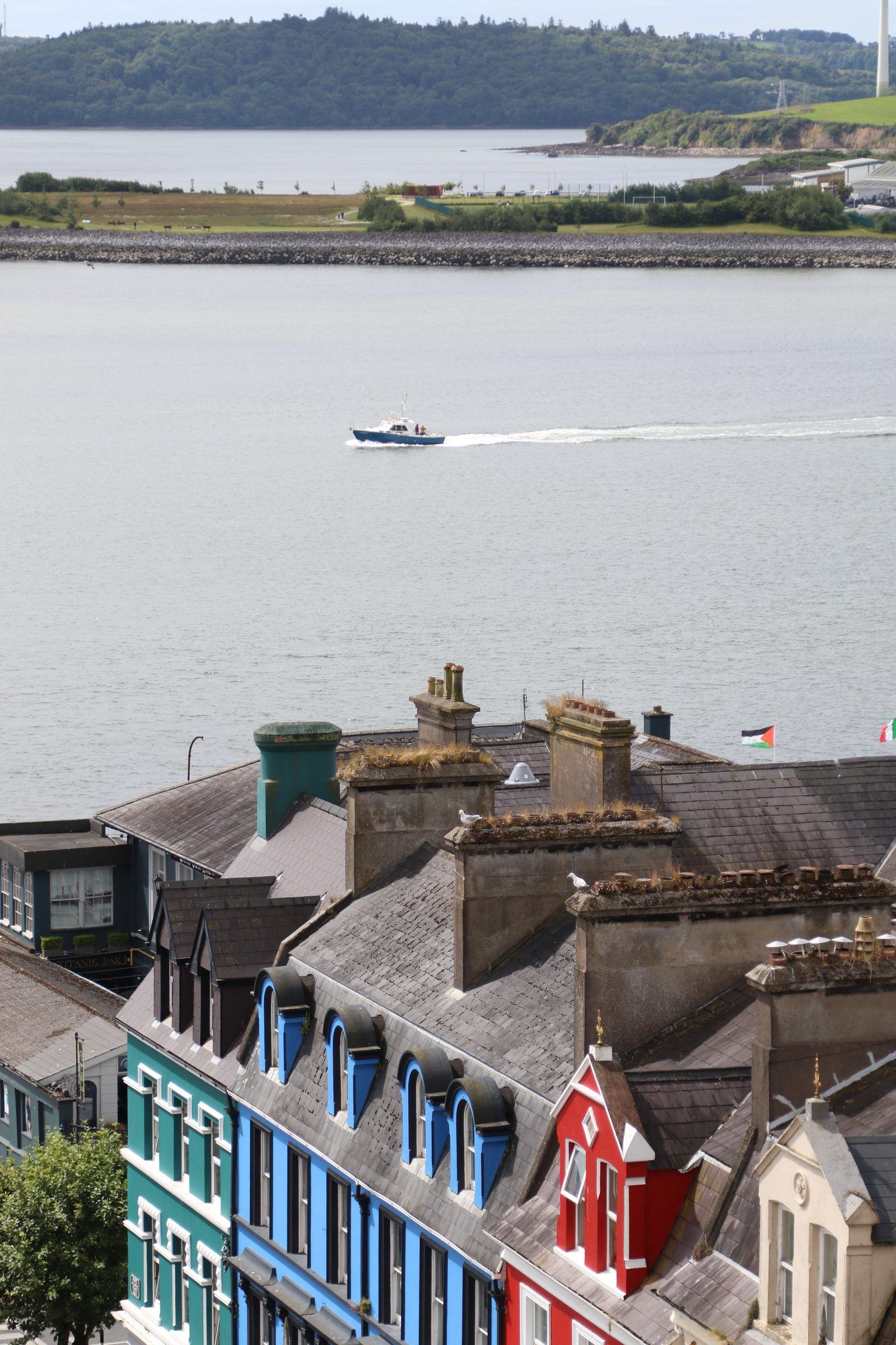 A small boat leaving a white wake across a wide grey harbour, brightly painted shopfronts and rooftops below