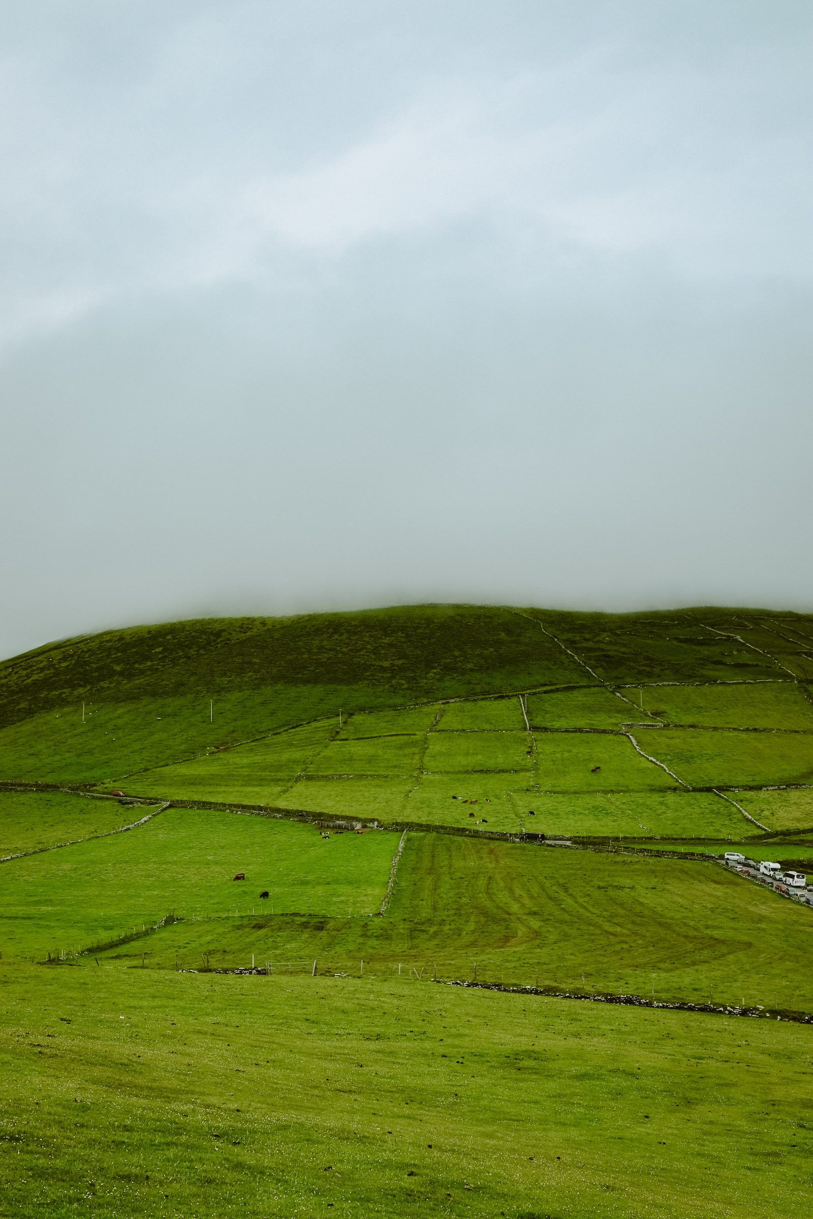 A rounded green hill crossed by field boundaries under a grey-blue sky