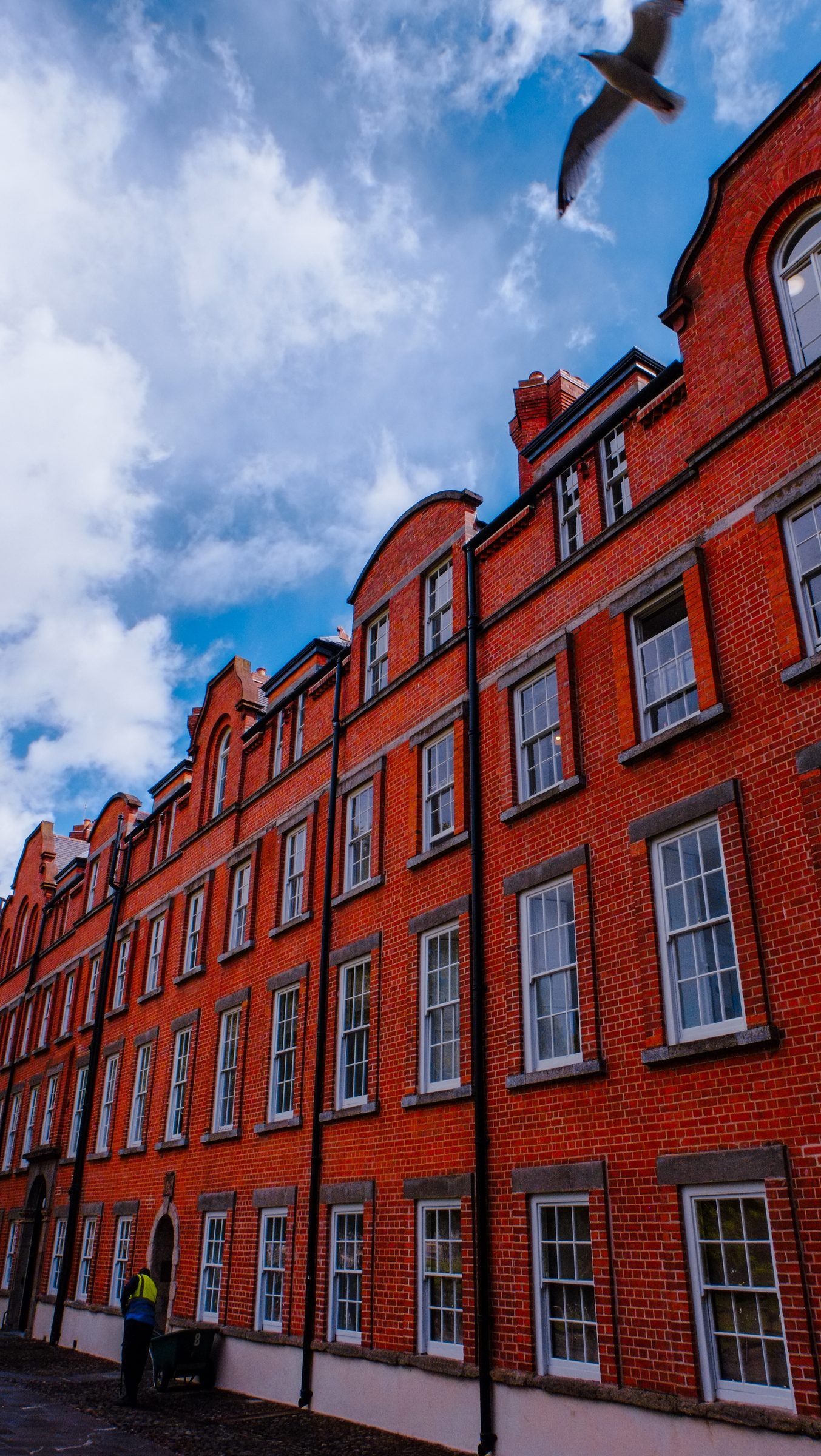 A long red-brick terrace with white sash windows receding down a street as a gull flies overhead