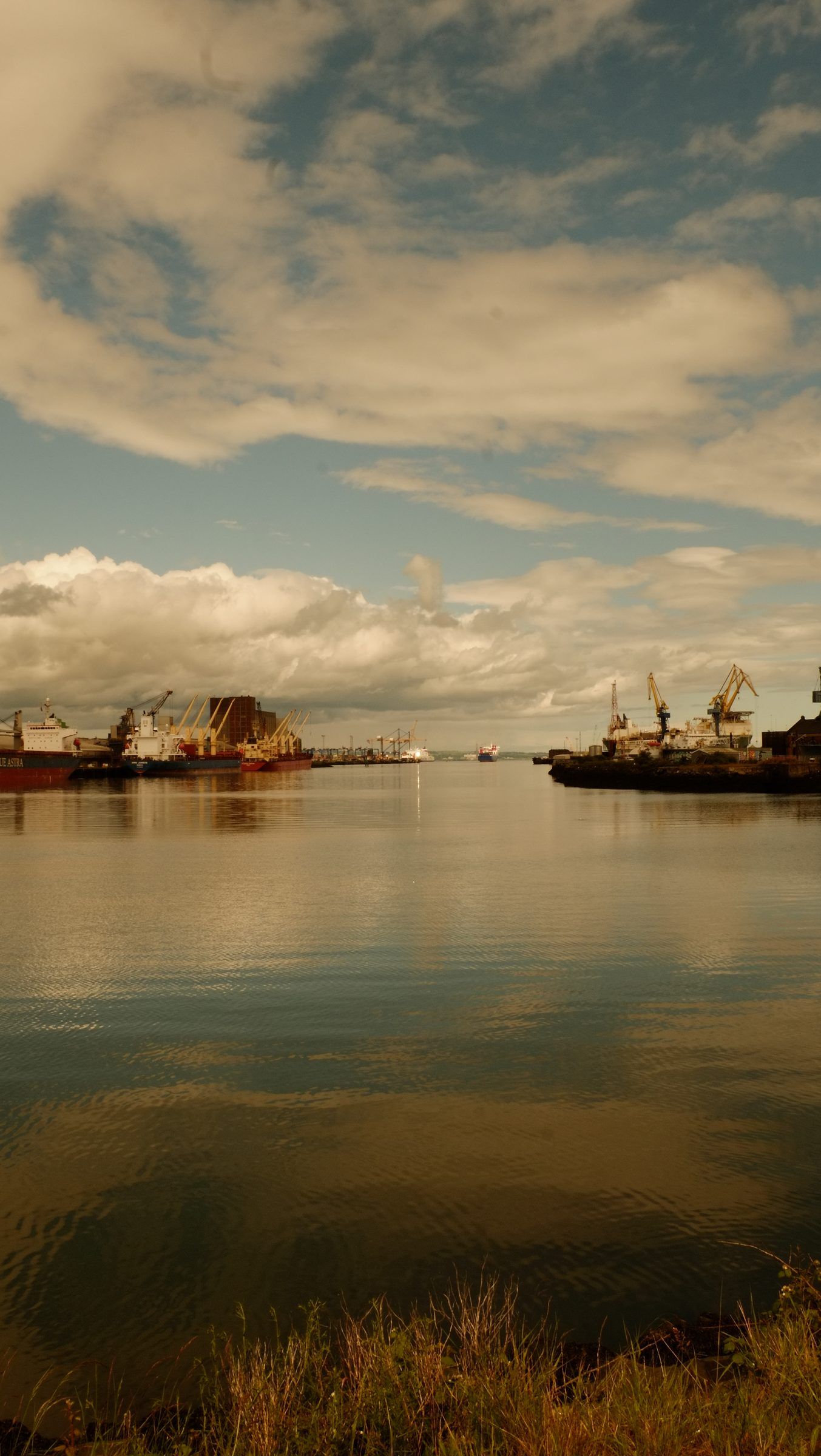 Calm water reflecting a cloudy sky between two lines of docked ships and cranes, wild grasses in the foreground