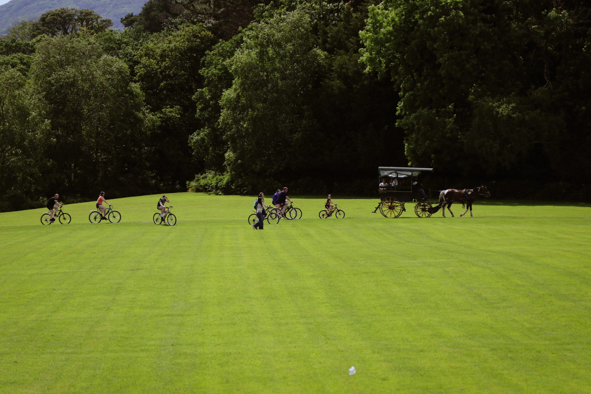 A line of cyclists and a horse-drawn jaunting car crossing a wide lawn in front of dark woodland