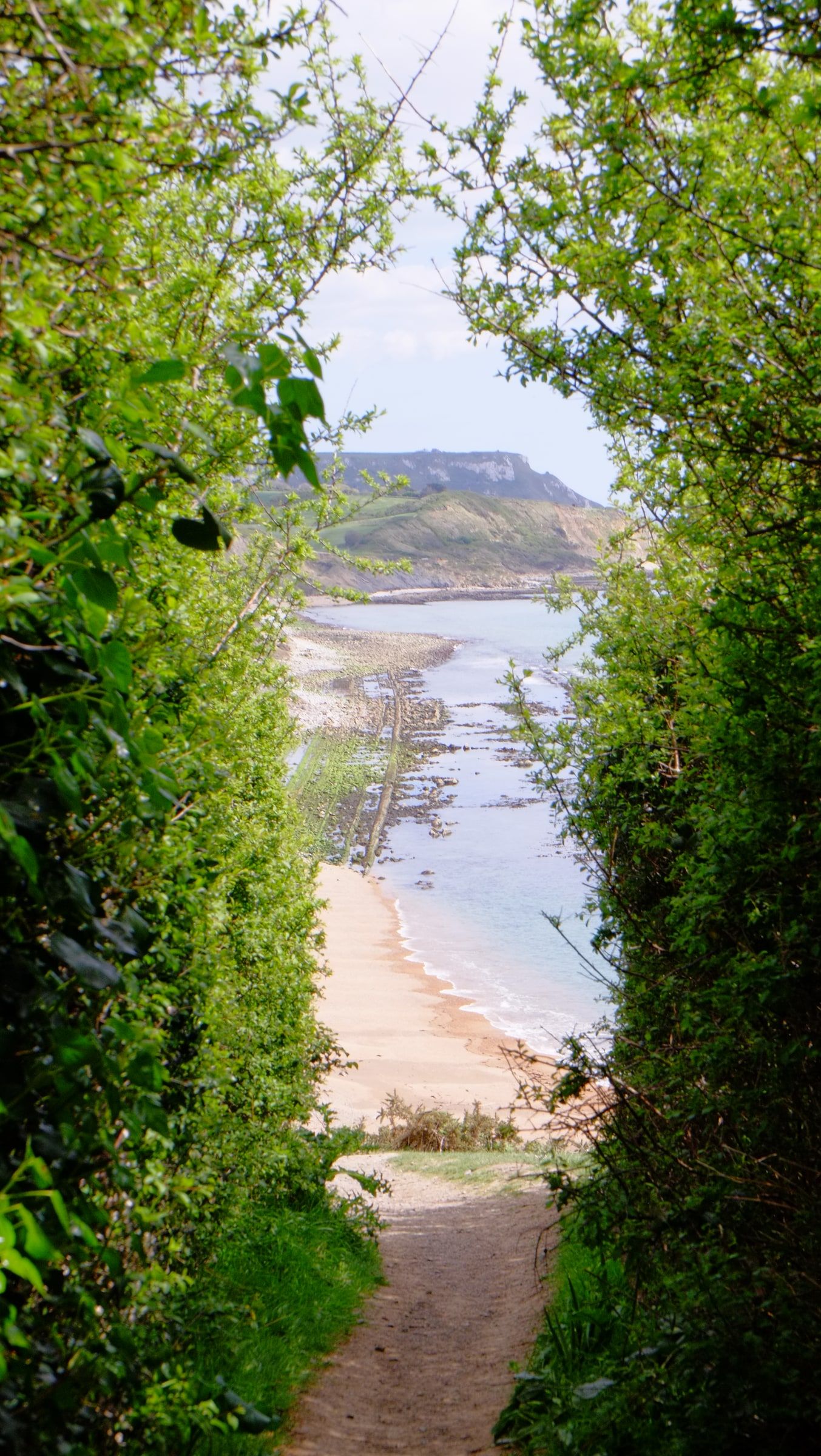 A sandy path framed by green trees, opening onto a long curving beach and a distant headland