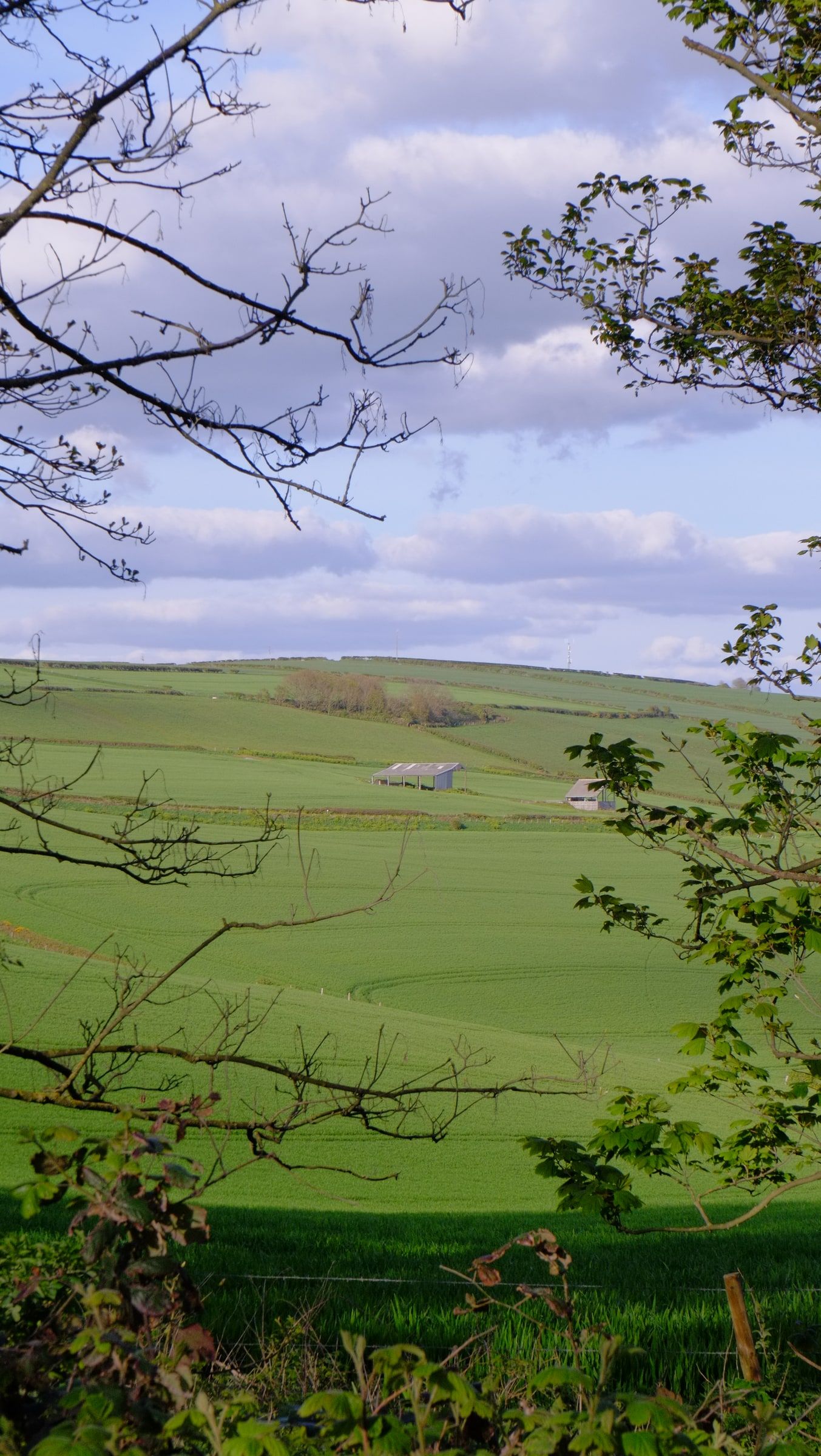 Green rolling fields and a distant farmhouse, seen through bare branches